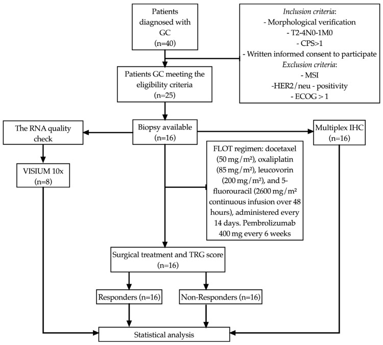 PD-1-Positive CD8+ T Cells and PD-1-Positive FoxP3+ Cells in Tumor Microenvironment Predict Response to Neoadjuvant Chemoimmunotherapy in Gastric Cancer Patients.