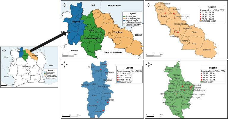 Seroprevalence and risk factors of peste des petits ruminants in sheep and goats in the Savannah district, northern Ivory Coast.