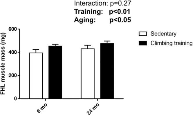 Resistance training-induced dihydrotestosterone is blunted in aging rat skeletal muscle.