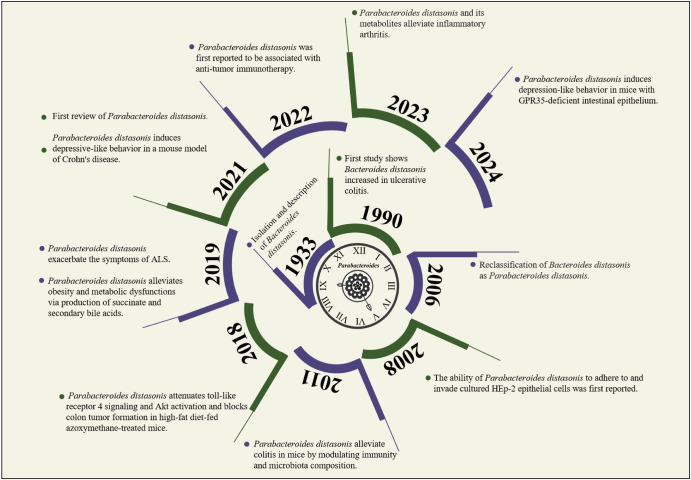 Parabacteroides as a promising target for disease intervention: current stage and pending issues.
