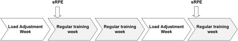 Concurrent validity and reliability of the session rating of perceived exertion scale among high-trained rower during training sessions.