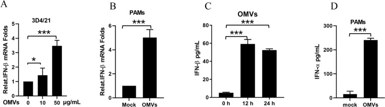 Outer membrane vesicles of Glaesserlla parasuis activate the endosomal cGAS-STING-IRF3 pathway through nucleic acid payload delivery: a biological perspective on host defense protocol optimization.