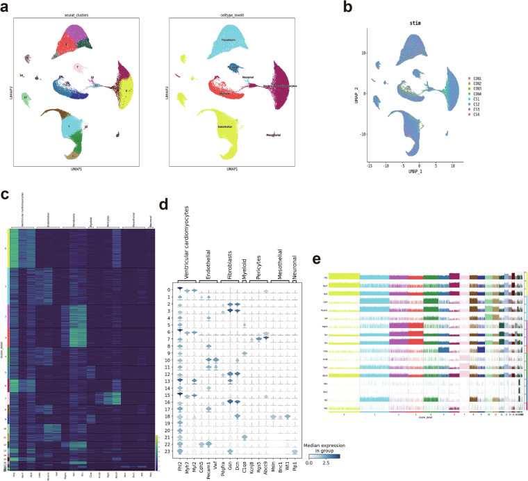 Single-nucleus profiling of the left ventricle of the mouse heart after chronic stress.