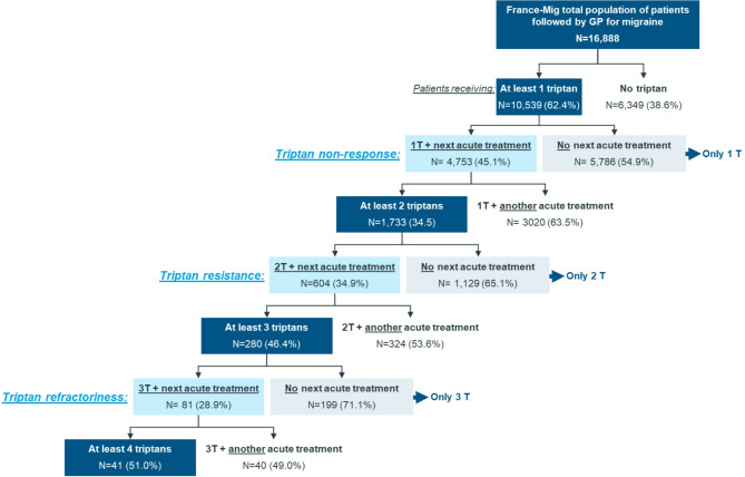 Prevalence, characteristics and management of migraine patients with triptan failure in primary care: the EMR France-Mig study.