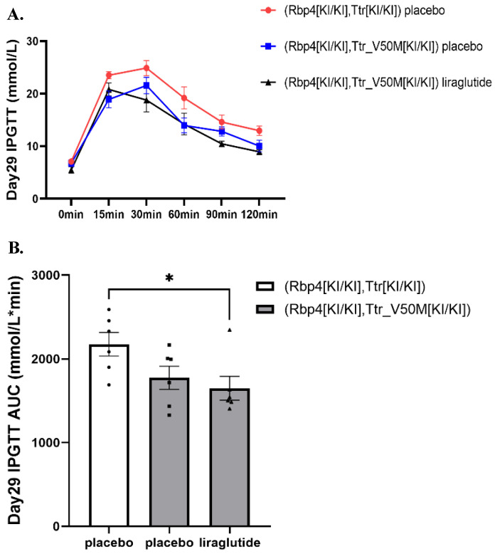 Cardiovascular and brain effects of liraglutide in transthyretin amyloidosis (ATTR) mice models.