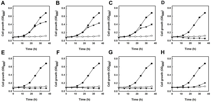 Screening of Protein Tyrosine Phosphatase 1B Inhibitors from Actinomycete Extracts Using Recombinant <i>Saccharomyces cerevisiae</i>.