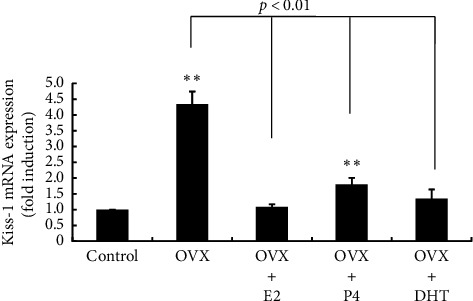 Neurotensin Expression in the Posterior Hypothalamus Is Influenced by an Increase in Kisspeptin Levels: Insights From In Vivo Rat Models and Hypothalamic Cell Models.