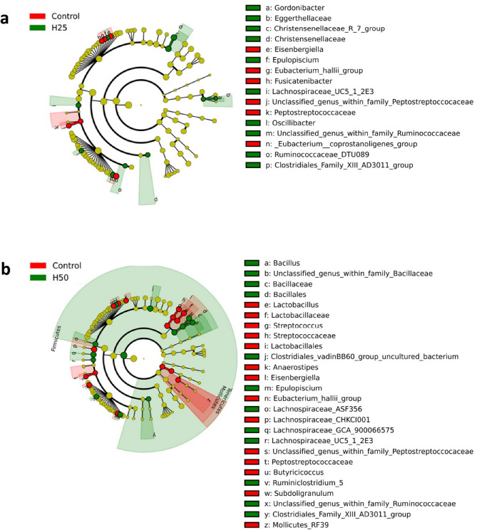 Dietary inclusion of Hermetia illucens larvae meal modifies caecal microbiota diversity and composition in barbary partridges (Alectoris barbara).