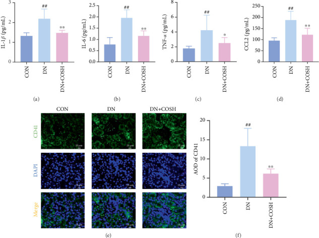 Costunolide Reduces DN Inflammatory Response and Renal Thrombosis by Inhibiting NET Formation.