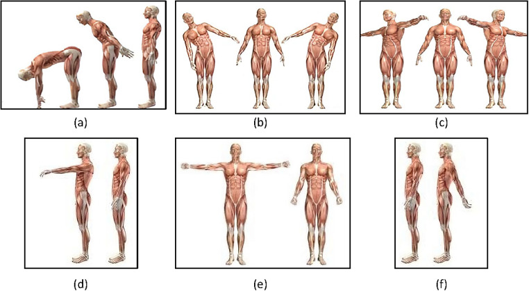 Effects of whole-body cryostimulation on spinal and shoulder range of motion in individuals with obesity.