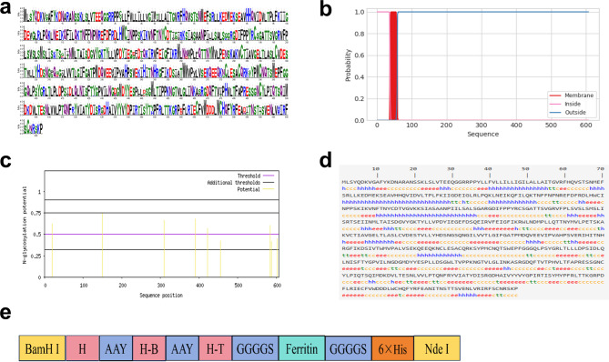Study on immunogenicity of recombinant ferritin hemagglutinin of canine distemper virus.