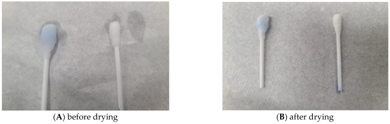 Development and Evaluation of a Nanoparticle-Based Immunoassay for Rotavirus Detection: A Suitable Alternative to ELISA and PCR in Low-Income Setting.