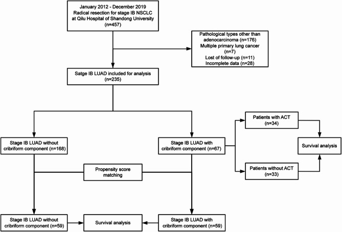 Survival outcomes and prognostic impact of adjuvant chemotherapy in stage IB lung adenocarcinoma with cribriform component.