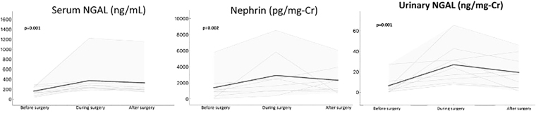Urinary and serum biomarkers of renal injury in coronary artery bypass grafting: a prospective evaluation with new biomarkers'.