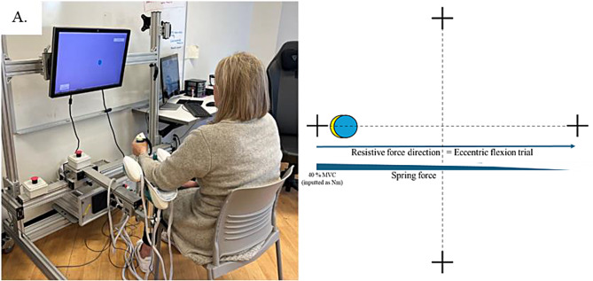 Wristful thinking: exploring the effects of robotic rehabilitation and cross-education for persons with multiple sclerosis.