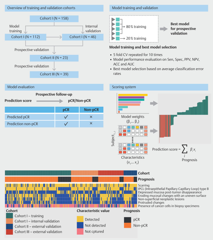 Pathologic complete response after neoadjuvant therapy for resectable esophageal squamous cell carcinoma: Endoscopic characteristics and implications.