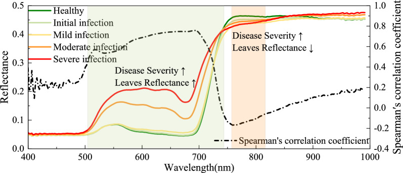 Quantifying the severity of Marssonina blotch on apple leaves: development and validation of a novel spectral index.