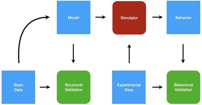 System-level brain modeling.