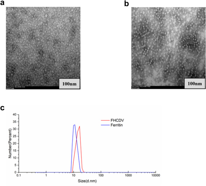 Study on immunogenicity of recombinant ferritin hemagglutinin of canine distemper virus.