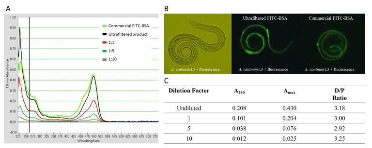 Ultrafiltration as an alternative purification method for bovine serum albumin-fluorescein isothiocyanate bioconjugate.