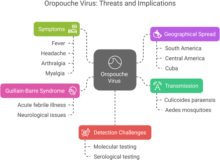 Unveiling the link between Oropouche virus and Guillain-Barré syndrome: a growing public health concern.