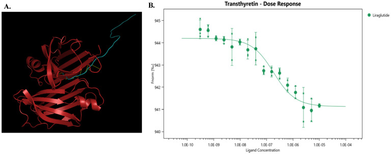Cardiovascular and brain effects of liraglutide in transthyretin amyloidosis (ATTR) mice models.