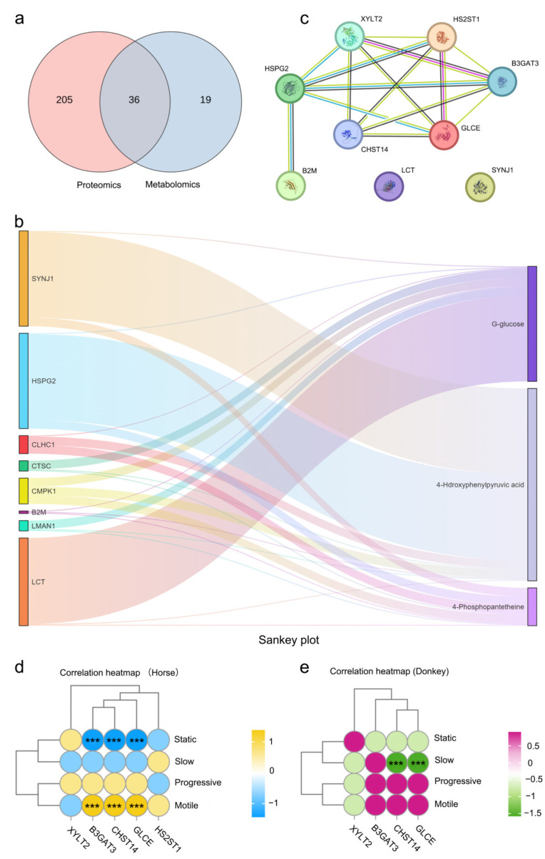 Comprehensive Integrated Analyses of Proteins and Metabolites in Equine Seminal Plasma (Horses and Donkeys).
