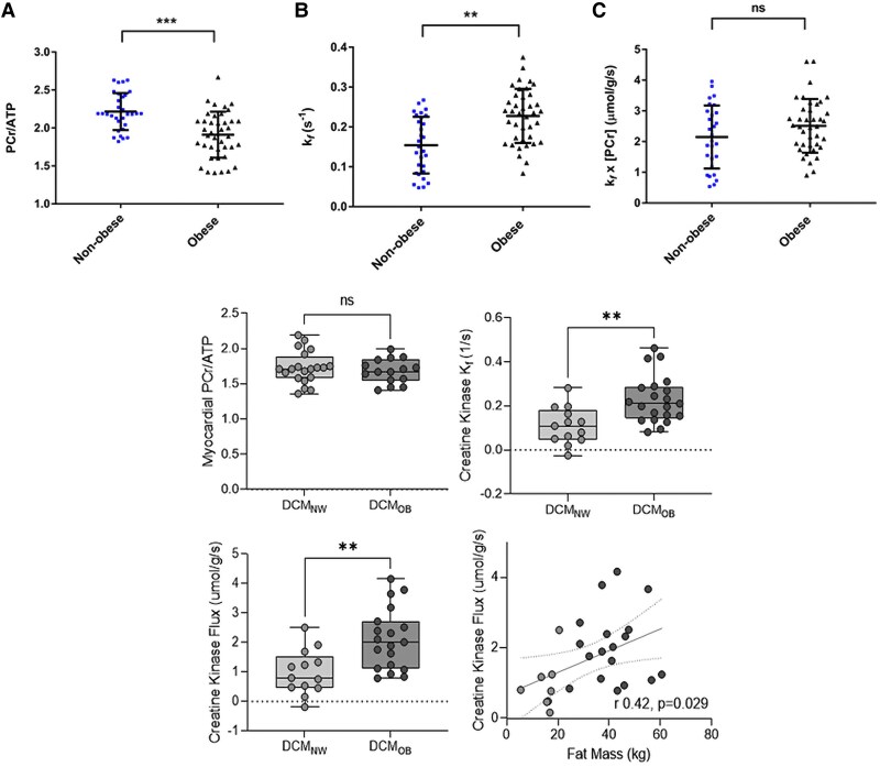Obesity and heart failure: exploring the cardiometabolic axis.