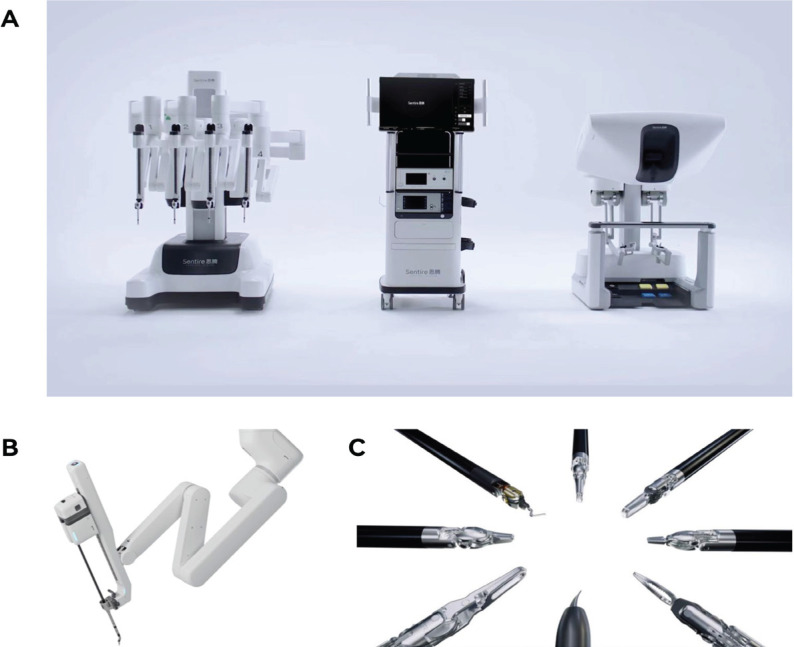 Clinical Outcomes and Cost-effectiveness between the Sentire® and da Vinci® systems in Robot-assisted Radical Prostatectomy.