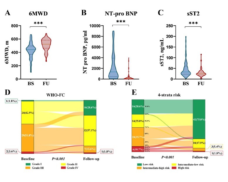 Tadalafil plus endothelin receptor antagonists in connective tissue disease-associated pulmonary arterial hypertension: A multicenter study on exercise capacity and cardiac outcomes.