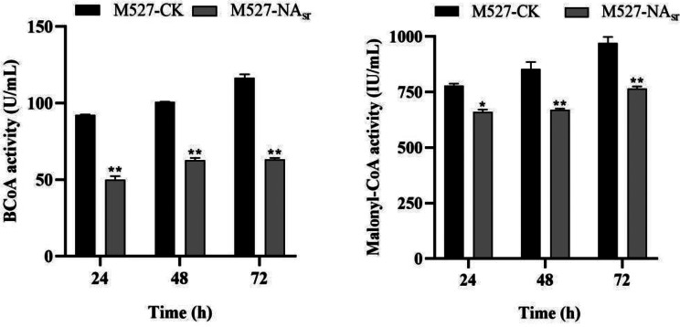 Study on the regulatory mechanism of NsdA<sub>sr</sub> on rimocidin biosynthesis in Streptomyces rimosus M527.