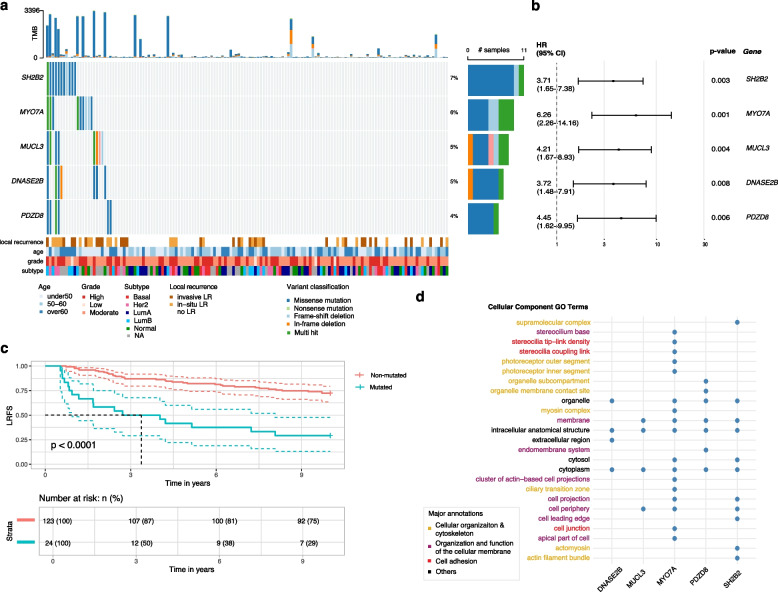 Mutational landscape of pure ductal carcinoma in situ and associations with disease prognosis and response to radiotherapy.