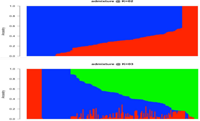 Genome wide association studies in yam reveal the challenge of high heterozygosity.