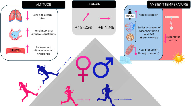 Sex-differences in Mountain Ultra-trail Performance: Look at the Scenery.
