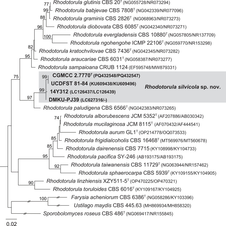 <i>Rhodotorula silvicola</i> sp. nov., a new yeast species from plant-associated substrates and mushroom.