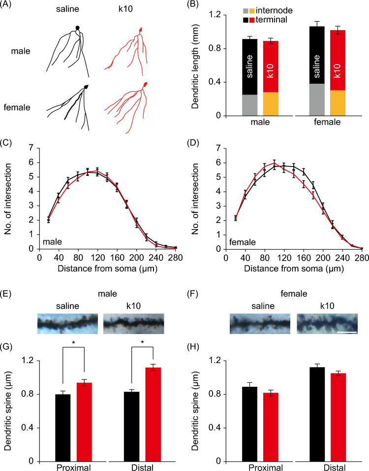 Sex-Specific Neuropsychiatric Effects of Subanesthetic Ketamine Exposure in Pregnant Mice and Their Offspring.
