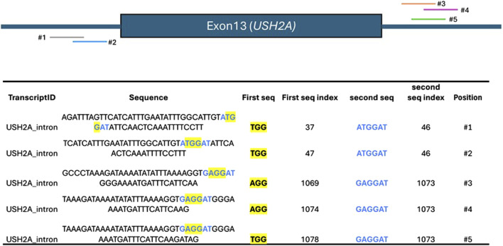 CATS: a bioinformatic tool for automated Cas9 nucleases activity comparison in clinically relevant contexts.