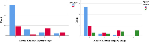 Assessing volume status in heart failure: The role of renal duplex ultrasound in evaluating cardiorenal morbidity and heart failure mortality.