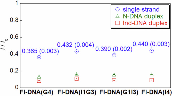 Direct observation of long-lived radical pair between flavin and guanine in single- and double-stranded DNA-oligomers.