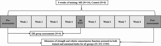 Wristful thinking: exploring the effects of robotic rehabilitation and cross-education for persons with multiple sclerosis.