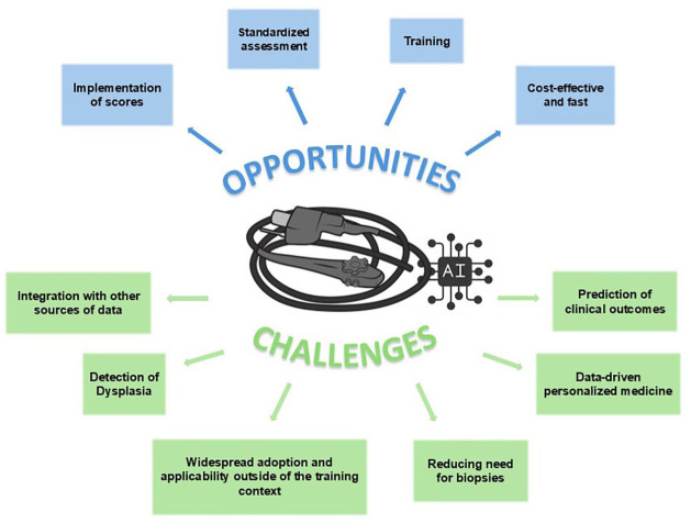 Artificial intelligence in inflammatory bowel disease endoscopy - a review of current evidence and a critical perspective on future challenges.