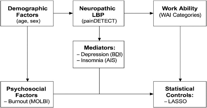 Does neuropathic low back pain negatively influence work capacity? A cross-sectional study among Hungarian workers.