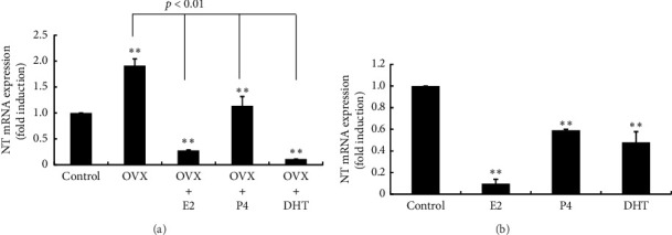 Neurotensin Expression in the Posterior Hypothalamus Is Influenced by an Increase in Kisspeptin Levels: Insights From In Vivo Rat Models and Hypothalamic Cell Models.