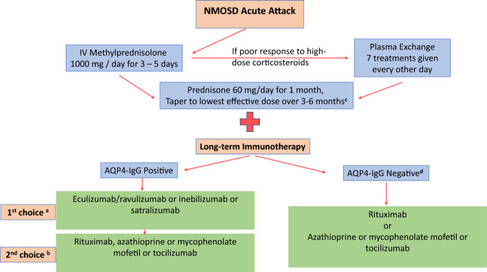 Emerging Role of Targeted Monoclonal Antibodies in Neuromyelitis Optica Spectrum Disorders.
