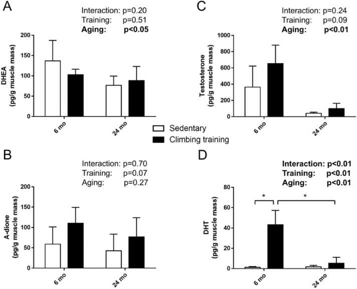 Resistance training-induced dihydrotestosterone is blunted in aging rat skeletal muscle.