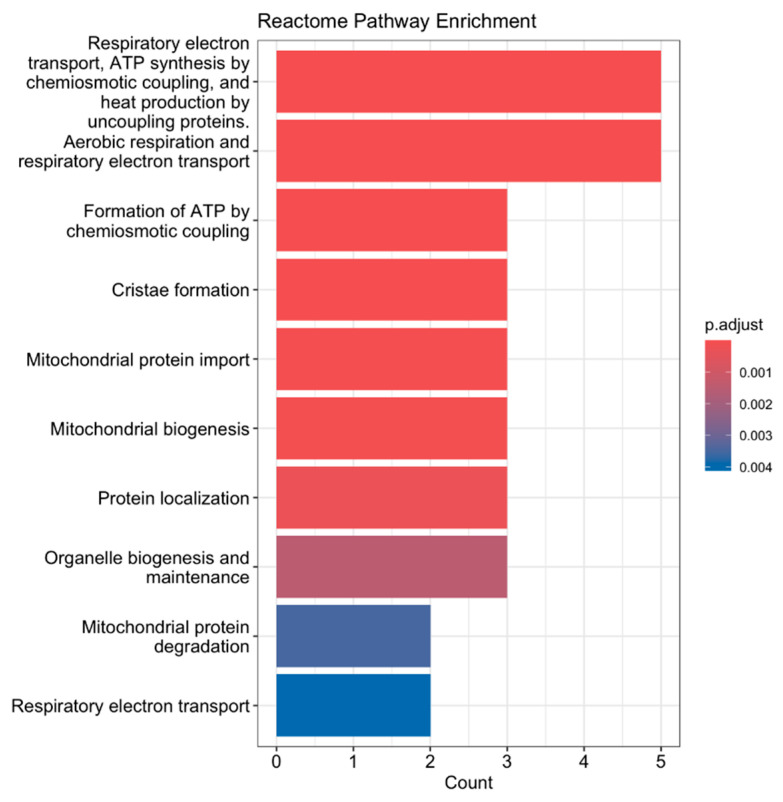 Transcriptional Signatures of Aerobic Exercise-Induced Muscle Adaptations in Humans.