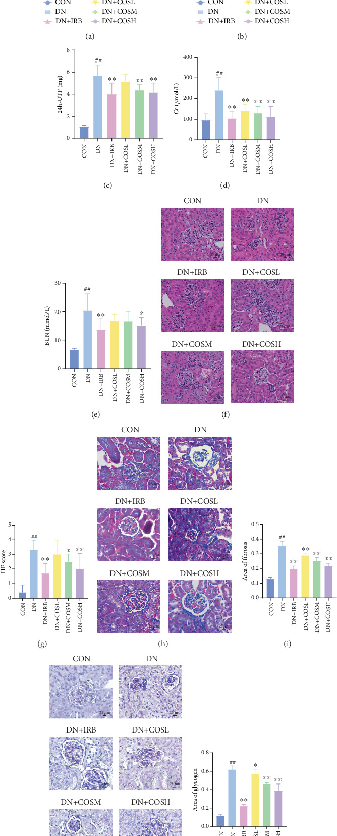 Costunolide Reduces DN Inflammatory Response and Renal Thrombosis by Inhibiting NET Formation.