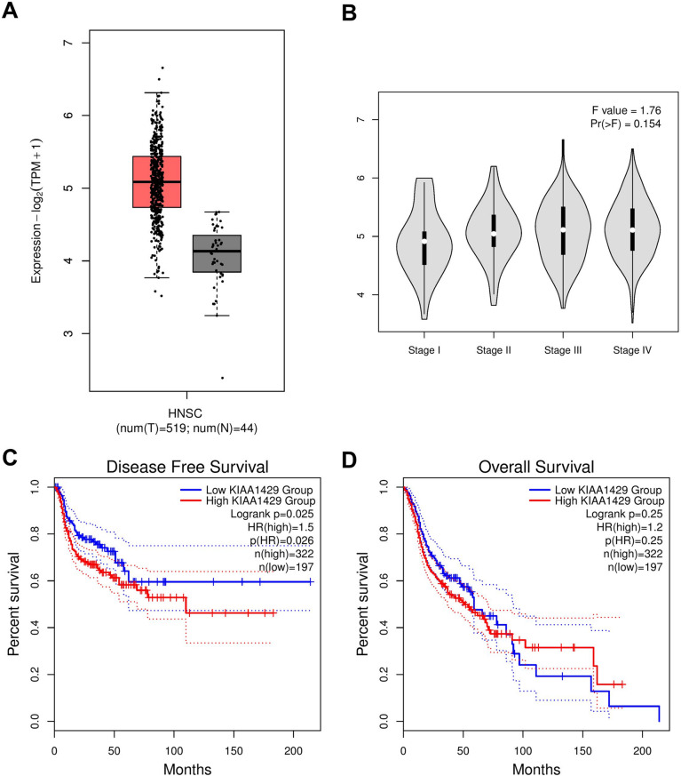 Total m6A RNA levels and VIRMA expression as potential diagnostic and prognostic markers in oral squamous cell carcinoma.