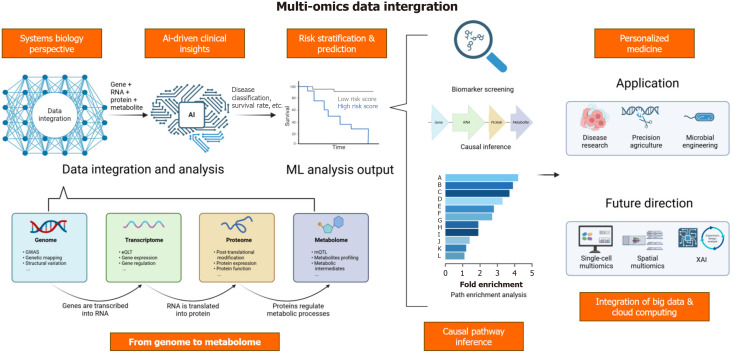 Illuminating diabetes <i>via</i> multi-omics: Unraveling disease mechanisms and advancing personalized therapy.