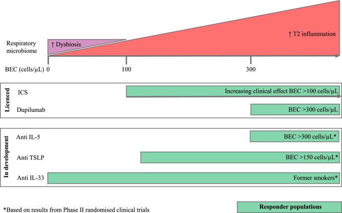 Chronic Obstructive Pulmonary Disease (COPD): Developments in Pharmacological Treatments.